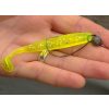 Reiva Offset Worm Nero 2 5pz/confezione Con occhiello Barbuto Gancio per pesce predatore