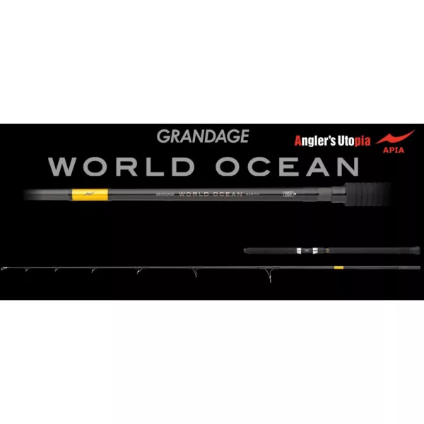 Apia Grandage World Ocean 838H 2,51m Max 160gr 2 Pezzi Canna da Spinning