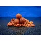 BaitBait Lázadó 30mm Tartósított Bojli 1kg