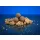 BaitBait Pesca Infuocata 22mm Bojle Solubile Edizione Limitata 1kg