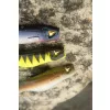 Black Cat Mega Curl Tail Shock Perch 22cm 29gr Esca in plastica
