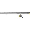 Black Cat Hard Core Combo Bank Rod 3,00m 600gr Canna da pesca al siluro in 2 pezzi con mulinello Black Passion FD 80 e Filo