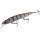Major Craft Ceana Jerkbait 110SPS Shallow 11cm 16gr #010 Clear Perch Wobbler Galleggiante
