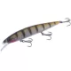 Major Craft Ceana Jerkbait 110SPS Shallow 11cm 16gr #010 Clear Perch Wobbler Galleggiante