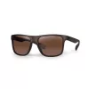 Fox Avius Trans Khaki Brown Lens Occhiali da sole