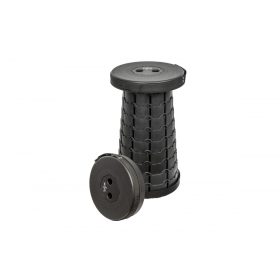 Carp Zoom Sedia telescopica