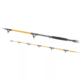   Predator Z Catzoom Brutal Canna da Siluro in 2 Pezzi 3,00m 850gr