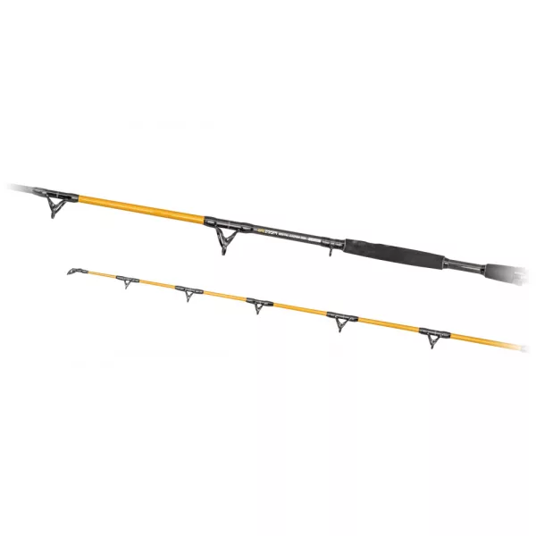 Predator Z Catzoom Brutal Canna da Siluro in 2 Pezzi 3,00m 850gr