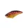 Duo Realis Apex Vibe F85 8,5cm 25gr CCC3354 Ghost Red Tiger Wobbler Sprofondante
