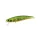 Duo Spearhead Ryuki 71S 7,1cm 10gr ADA4059 Green Gold OB Wobbler Affondante