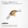 Evergreen Wildhunch 5,2cm 9,6gr #260 Morizo Bone Wobbler