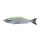 Babyface BB180-SF 18cm 80gr 37 Wobbler Chart Back Ghost