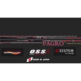   Graphiteleader Nouvo Pagro Cast GNPC-6102L-S R Fast 2,05m 100gr Canna da Spinning 2 Pezzi