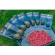 Guru Maggot Feeder M Cestino per bigattini 55gr