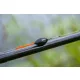 Guru Skimmer Wire 0,5gr Galleggiante da competizione