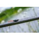 Guru Slim Maggot 0,15gr Galleggiante da competizione