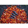 Guru Slim Maggot 0,15gr Galleggiante da competizione