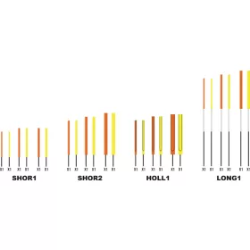   Garbolino WAGGLER COMPETITION SP W13 - CARBON set di antenne cave /3-4-5 mm/