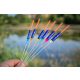 Galleggiante da competizione Garbolino Carp Competition Float Sp C81 - 0,3gr - Hard Skin - Inter 3,0Mm - Galleggiante per luce chimica