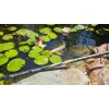 Garbolino Netsy Golden Power 440 PUT OVER LANDING NET / manico per guadino