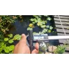 Garbolino Netsy Golden Power 440 PUT OVER LANDING NET / manico per guadino
