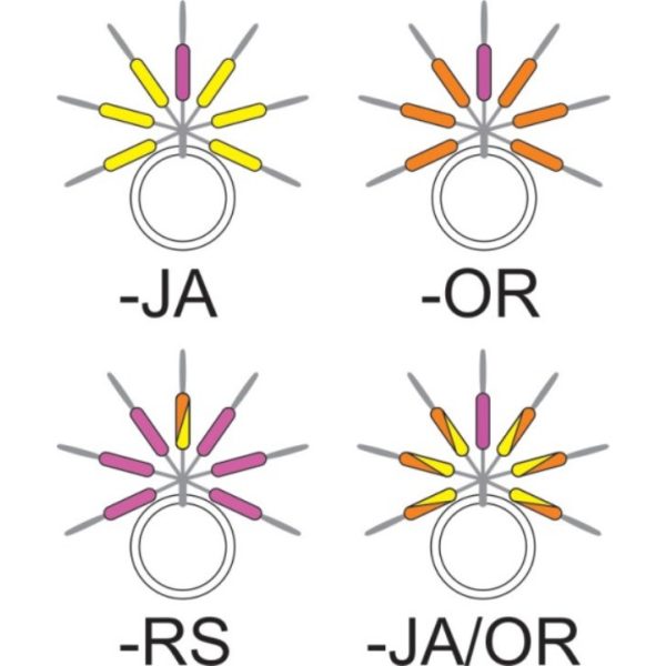 Garbolino - VISUALIZZATORE DI LINEA A BASTONCINO STREAMLINE - Minuteria - Stopper - Stopper in gomma per trota