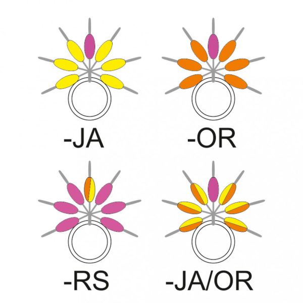 Garbolino - VISUALIZZATORE DI LINEA A GOCCIA STREAMLINE - Minuteria - Stopper - Stopper in gomma per trota