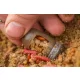 Pasturatore Guru Window Feeder XS a finestra 40+50gr - Peso intercambiabile