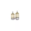 Guru Tackle - Caged Window Feeder - Small 20g + 30g Pasturatore