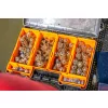 Guru Caged Window Feeder L 30+40gr Pasturatore Window
