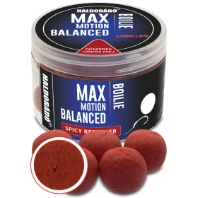   Haldorádó Max Motion Boilie Balanced Fegato Rosso Speziato 70gr 20mm Boilie