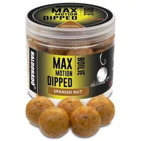   Haldorádó Max Motion Boilie Dipped Arachide Spagnola 100gr 20mm Boilie