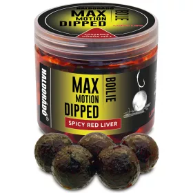   Haldorádó Max Motion Boilie Dipped Fegato Rosso Speziato 100gr 20mm Boilie