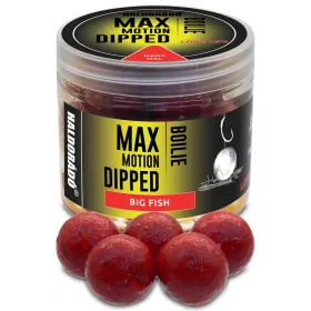   Haldorádó Max Motion Boilie Dipped Grande Pesce 100gr 20mm Boilie
