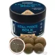 Haldorádó Krill Force Boilie Hard Hook Wafter 24, 30 mm Krill Natur Bojli da innesco 100gr