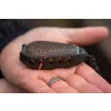 Korum Bait Gripper Feeder Etetőkosár 150gr