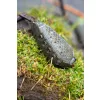 Korum Bait Gripper Feeder Etetőkosár 220gr