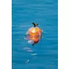 Korum Floating Window Combi Feeder Fluoro Top Lebegő Ablakos Kosár
