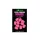 Korda Maize IB Mais Gomma Pop Up Rosa 10pz