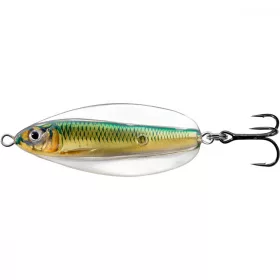   Livetarget Erratic Shiner Spoon Oro/Verde 7gr 5cm Cucchianino Ondulante