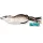 Livetarget Mouse Walking Bait Marrone/Bianco 6cm 11gr Esca artificiale a topo