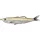 Livetarget Shiner Walking Bait Amber/Silver Flake 11,5cm 14gr Shad in Gomma