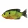 Livetarget Sunfish Walking Bait Florescent Pumpkinseed 7,5cm 12gr Esca Artificiale Pesce Sole
