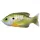 Livetarget Sunfish Walking Bait Natural/Green Bluegill 7,5cm 12gr Esca Artificiale Pesce Sole
