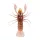 Livetarget Gambero Non Armato Marrone-Giallo 7,1cm Affondante Gambero in Plastica 6 pz