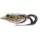 Livetarget Esca artificiale rana per walking Cachi/Marrone 11,7cm 25gr Imitazione Rana