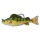Livetarget Swimbait Perca Gialla Giallo-Verde 11,3cm 21gr Esca in plastica