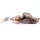 Livetarget Goby Paddletail Rigged Brown-Chartreuse 8,4cm 12gr Süllyedő Gumihal