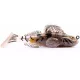 Livetarget Goby Paddletail Rigged Brown-Chartreuse 8,4cm 12gr Süllyedő Gumihal