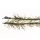 Mivardi 90cm Terminale Anti Alghe Weed Lock